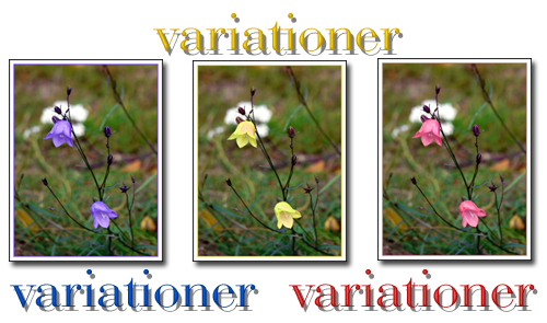 blåklockor_variationer