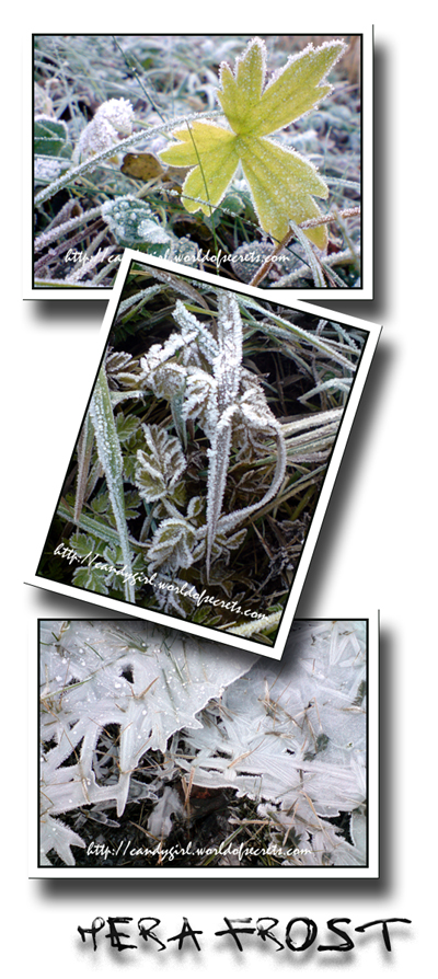 frost 2