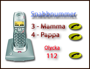 snabbnummer