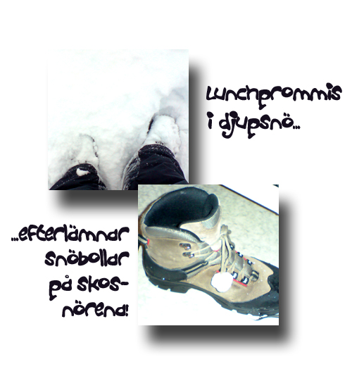 snö2