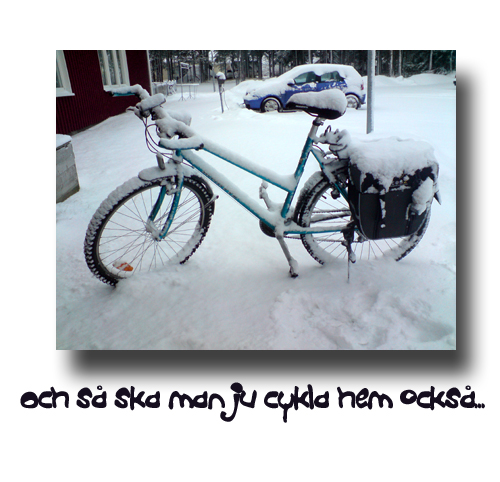 snö3