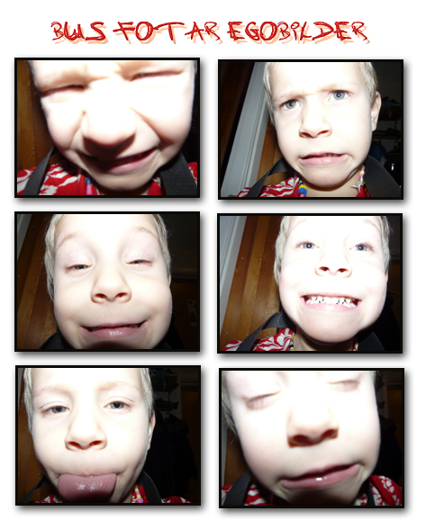 bus egobilder