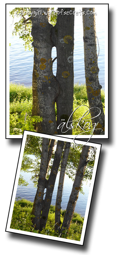 älskog