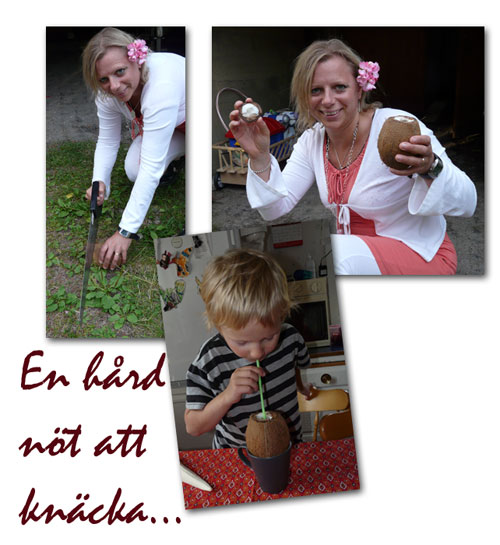 kokosnöt