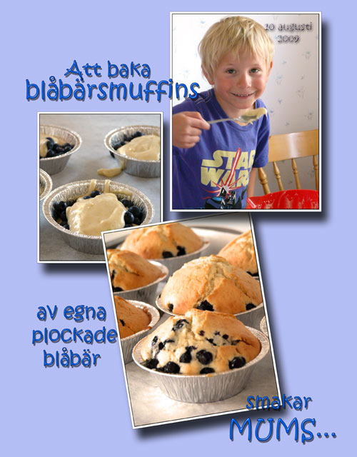 blåbärsmuffins