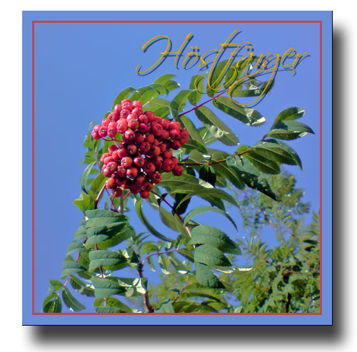 höstfärger