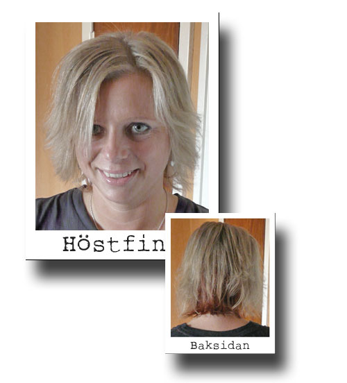 höstfin