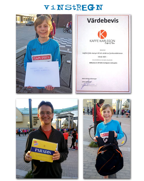 strandruset2013_2