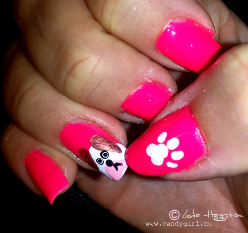 dognails3