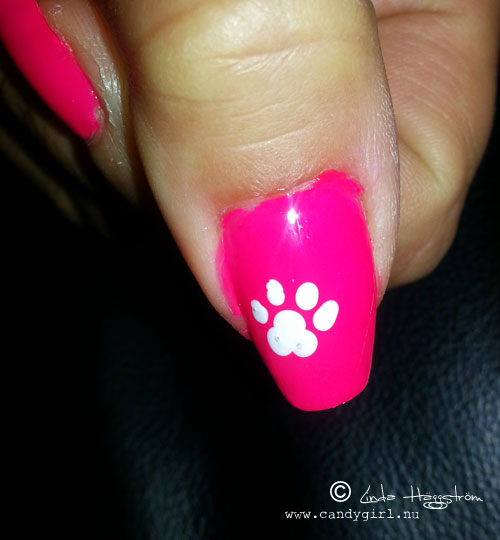 dognails4