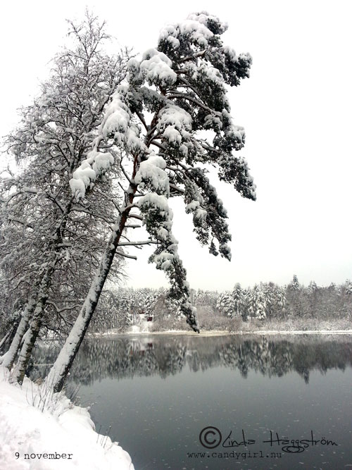 novemberälv