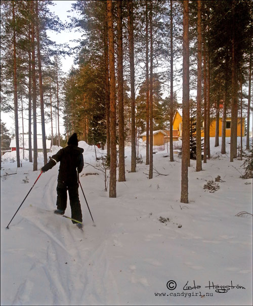 skidpremiär4