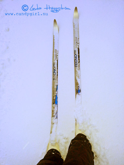 skidor