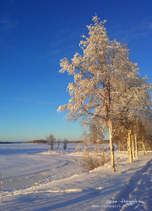 kalixälven-januari