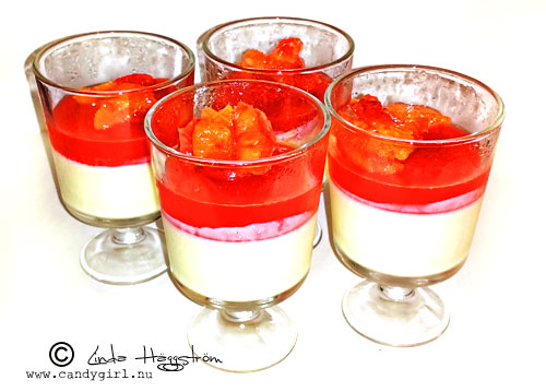 panacotta