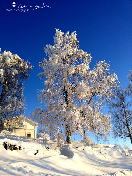 prästgården-januari