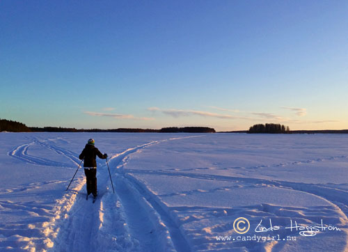 fjärden_februari2