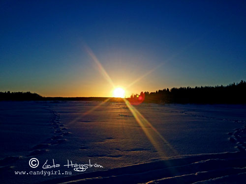 fjärden_februari_sol