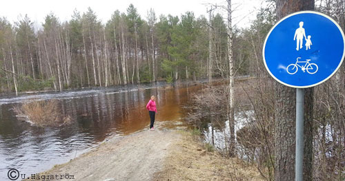 töreälv_högvatten