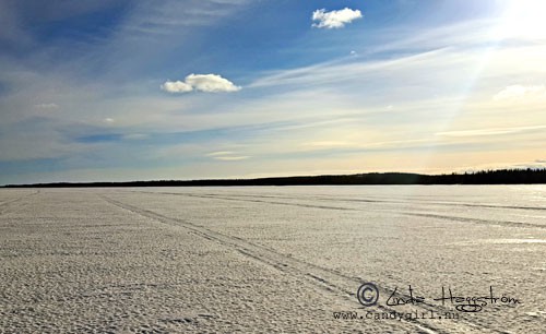 fjärden_mars